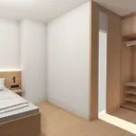 兰德霍斯鲁尔曼酒店 3* 拉姆绍达赫斯坦
